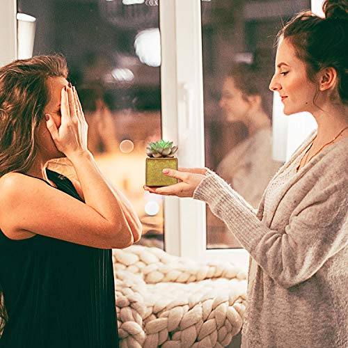 Lewondr 6-Piece Ceramic Planter Pots for Succulents, Bonsai, Window Treatments, and Miniature Plants, Size 2, 6.35*6.35*6.35cm (Note: Set includes pot