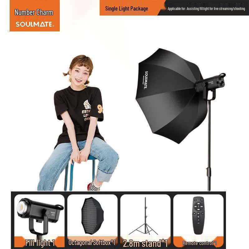 SOULMATE E300Bi Max DMX Bi-Color LED Fill Light Kit