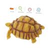 SUPVOX Realistic Plastic Simulation Tortoise Figurine Detailed and Durable for Educational Use and Home Decoration Animal