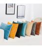 Velvet Throw Pillow Cover Decorative Square Cushion Case for Sofa Bedroom 40x40/45x45/50x50/30x50/55x55/60x60cm Pillowcase