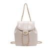 Premium Texture Small Bag Women's Versatile 2025 New Chain Messenger Bag Popular Backpack Bucket Bag