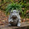 Bulldog Flowerpot Creative Decorative Planter with Unique Attitude Design Eye-Catching Garden Decor Indoor Outdoor Plant Pot Novelty Flower Planters