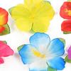 70 Buc Lei Hawaian Luau Decorare Petrecere Frunze de Palmier Tropicale Artificiale Flori de Hibiscus Favors Petrecere Dans Hula pentru Petrecere la Piscină pe Plajă de Vară