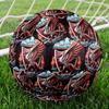 Fußballverein Aufdruck Größe 5 Fußball, Standard-Spielball für Sportspiele und Mannschaftstraining, Ideales Geschenk für Fußballfans
