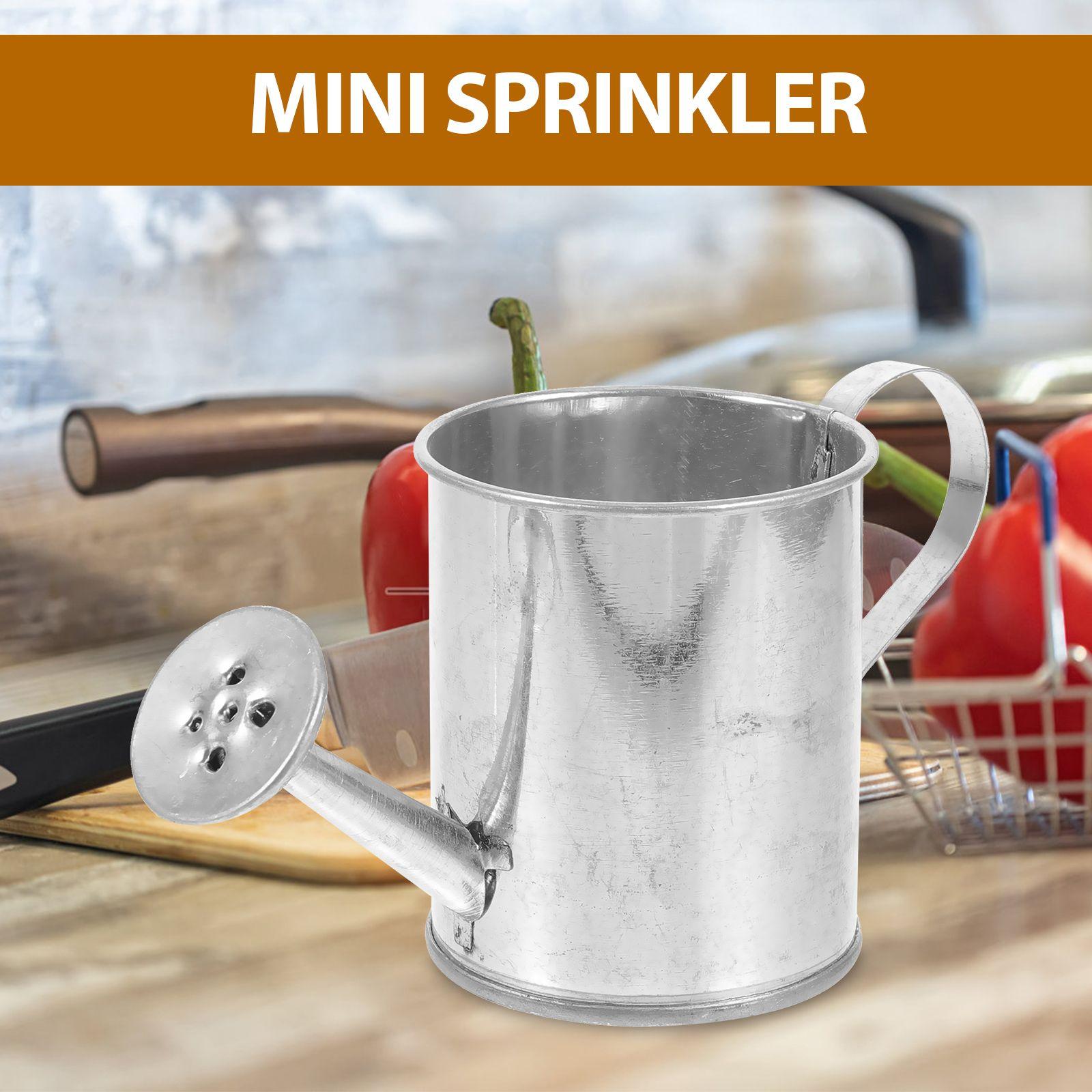 

5 Pcs Mini House Decor Miniature Watering Can for Succulents Small Garden Tiny Cans Hose Toy