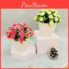 Plastic Indoor Decorative Sphere With Faux Fuchsia Flowers For Office Displays