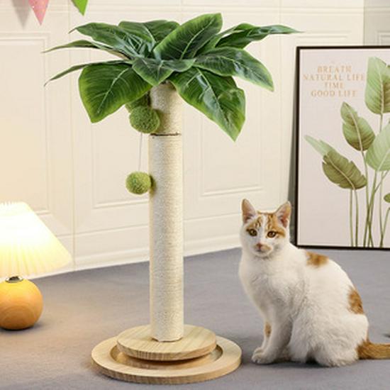 Fully Washable Pet Tent: Foldable Cat Bed & House for All Seasons