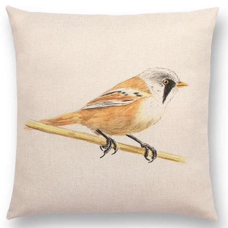 

Newest Birds Painting Cushion Cover Robin Titmouse Toucan Fairy Sparrow Firecrest Cardinal Bullfinch 25 Design Available 12x12Inch