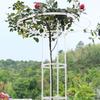 Assembled Umbrella Flower Stand Climbing Vine Plant Easy to Install Garden Plant Support