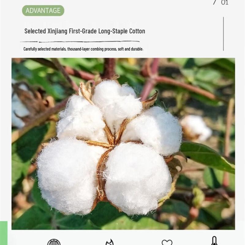 LISM All-Season Soy Fiber Quilt Insert