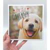 Love Is A Labrador: A LabTastic Celebration of the World's Favourite Dog