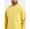 PITBULL Washed Lancaster II Hoodie