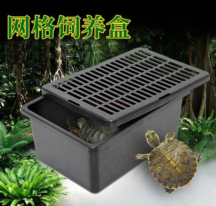 Mehrzweck-Kriechkasten Kleintier Atmungsaktive Verpackungsbox Kunststoff Zuchtbox Gehörnte Frosch Schildkröte Hamster Box