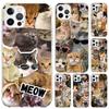 Crying Cat Memes Phone Case for Iphone 17 Air 16 15 Plus 14 13 Mini 12 11 Pro Max 16E 7 8 SE 2020 Soft Funda Print Shell 17 Air