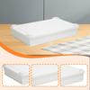 Fermentation Box for Storing Ingredients, Organizing Pizza , Bread, Stackable Container with Lid,