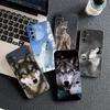 Casing Phone Cover for Samsung Galaxy S22 S21 S20 FE Ultra Plus A07 A17 A15 A16 A25 A57 A37 Case  Animal Stalking Wolf Art