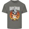 Babylorian Funny Baby Infant Toddler Parody Unisexs Light Cotton TShirt