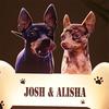 Custom Photo Acrylic Pet Growth Memory Night Light Pet Accompany Moments Personalized Bedroom Bedside Desktop Home Decor Gift