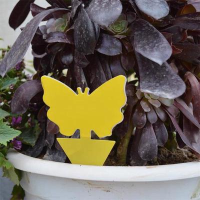 Sticky Trap Double-Sided Yellow & Blue Insect Lure for Greenhouses - Essential for Fruit Fly, Thrips, and Household Pest Control.