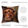 cat Cushion Cover Anti-dustmite Pillowcase Invisible zipper silky short plush Sofa cushion cover