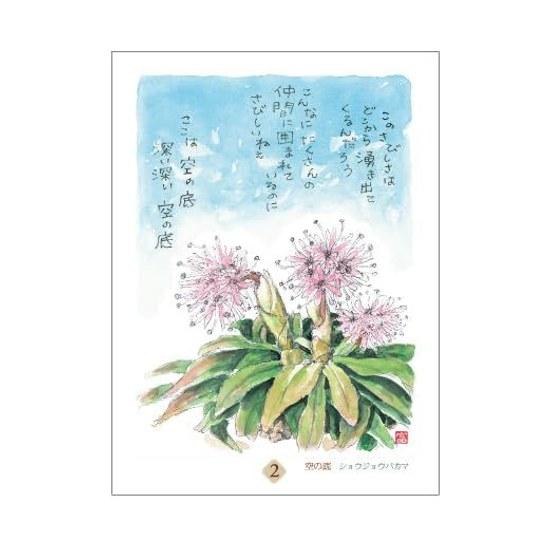 Hoshino Tomihiro 31 Poems Illustrations Daily Calendar Only Thing You Truly Need Is Just One