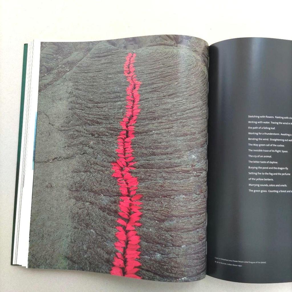 [USED] NILS-UDO Art in Nature/Nils-Udo Photo Collection