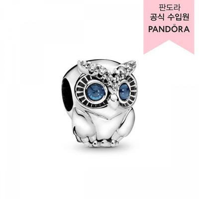 Sparkling Owl Charm  798397nbcb