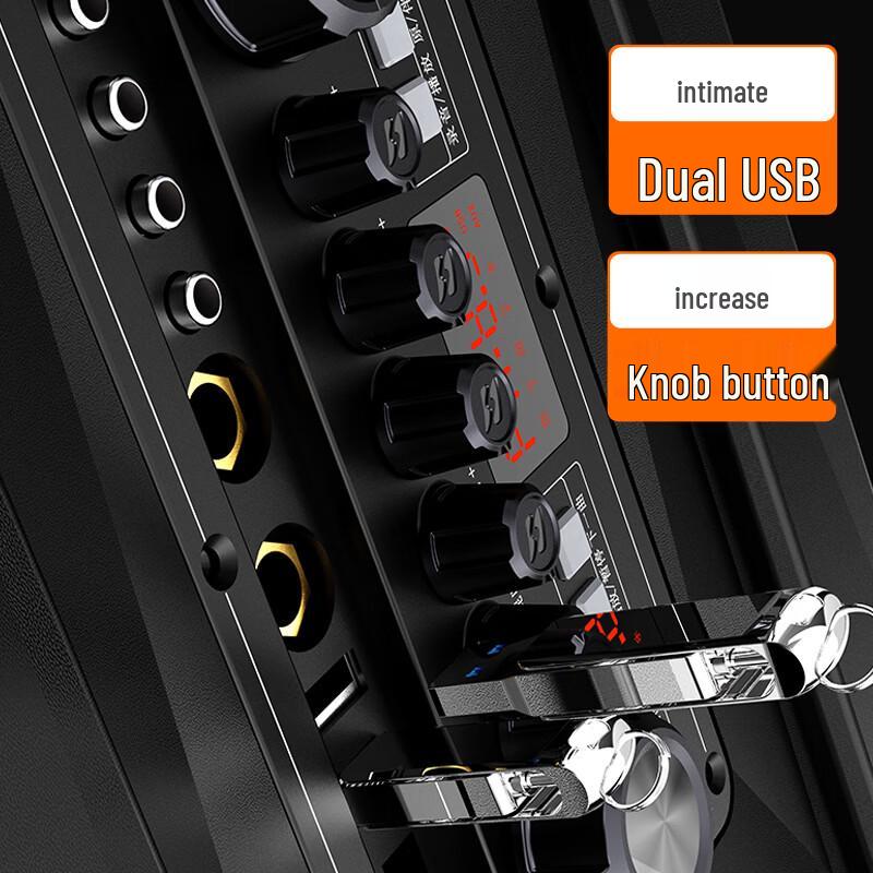 SANSUI A12 Portable KTV Trolley Speaker with Dual Wireless Microphones CN plug (adapter included)