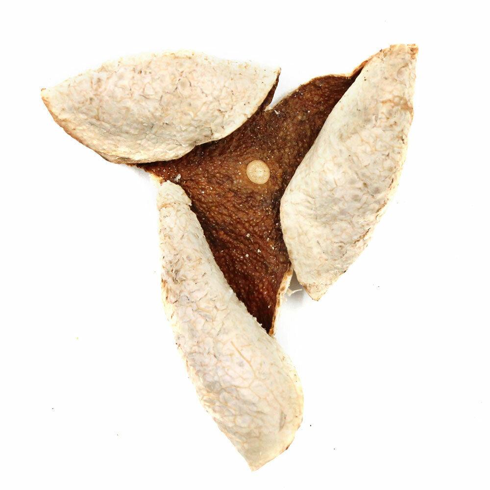 

Чай XinHui Chen Pi TianMa, 2019 г., с сушеной кожурой мандарина, 50 г 150g/5.29oz