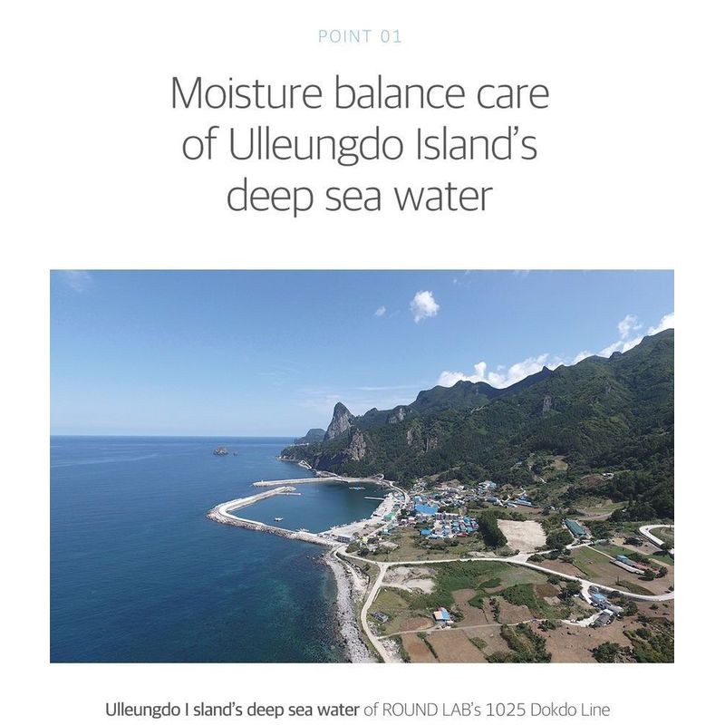 ROUND LAB 1025 Dokdo Cleansing Oil