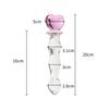 SM Erotic Crystal Dildo & Anal Plug Massager