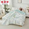Hengyuanxiang Cooling Summer Quilt