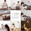 Iris Plaza LED Desk Light Clip Light, 3-Stage Color Temperature Adjustment, Stepless Brightness Adjustment, Easy Operation, Adjustable Angle,