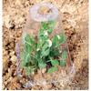 20pcs Set Of Transparent Plastic Plant Covers - Reusable Greenhouses For Frost