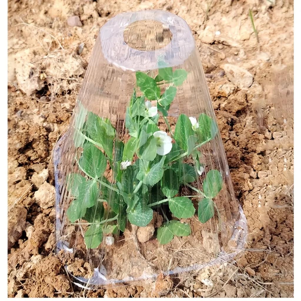 20pcs Set Of Transparent Plastic Plant Covers - Reusable Greenhouses For Frost