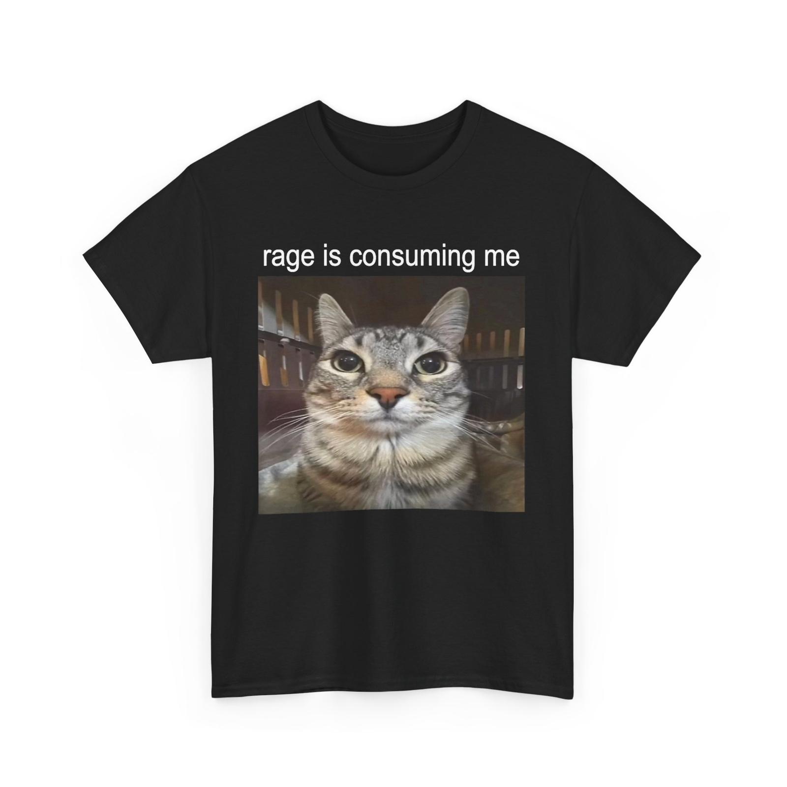Rage Is Consuming Me Silly Staring Cat Meme T-shirt S
