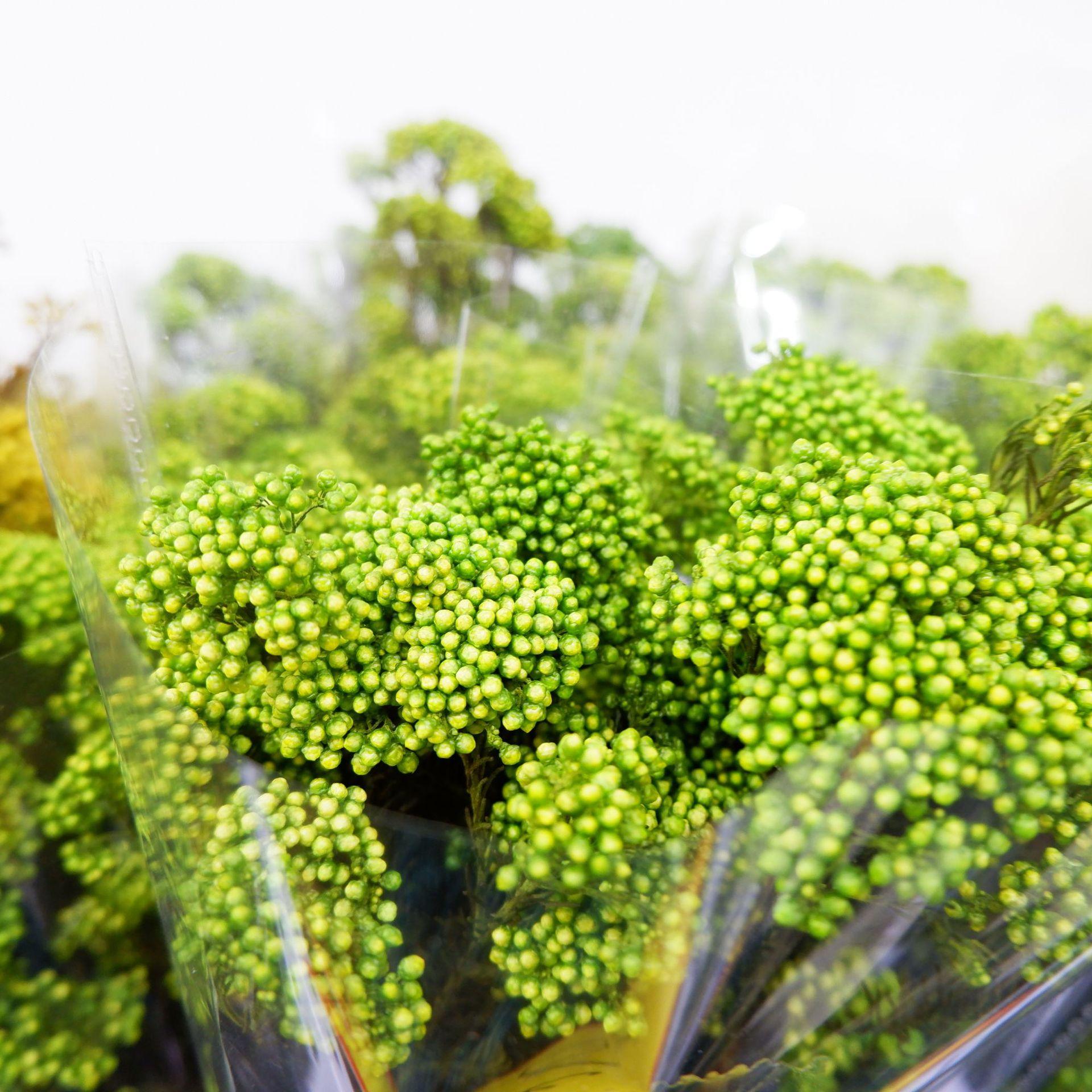 

Immortal Millet Flowers, Dried Flowers, Bouquets, Color-Absorbing Rice Flowers, Preserved Flowers, Natural Flowers, Flower Arrangement, Decorative зелений