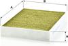 MANN FILTER Frecious Plus Air Conditioning (Cabin) Filter for BMW FP25001 [Parallel Import]