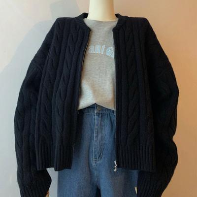 Stil Einfarbig Reißverschluss Strickjacke Damen Herbst Winter Lässig Zopf Langarm Pullover Jacke