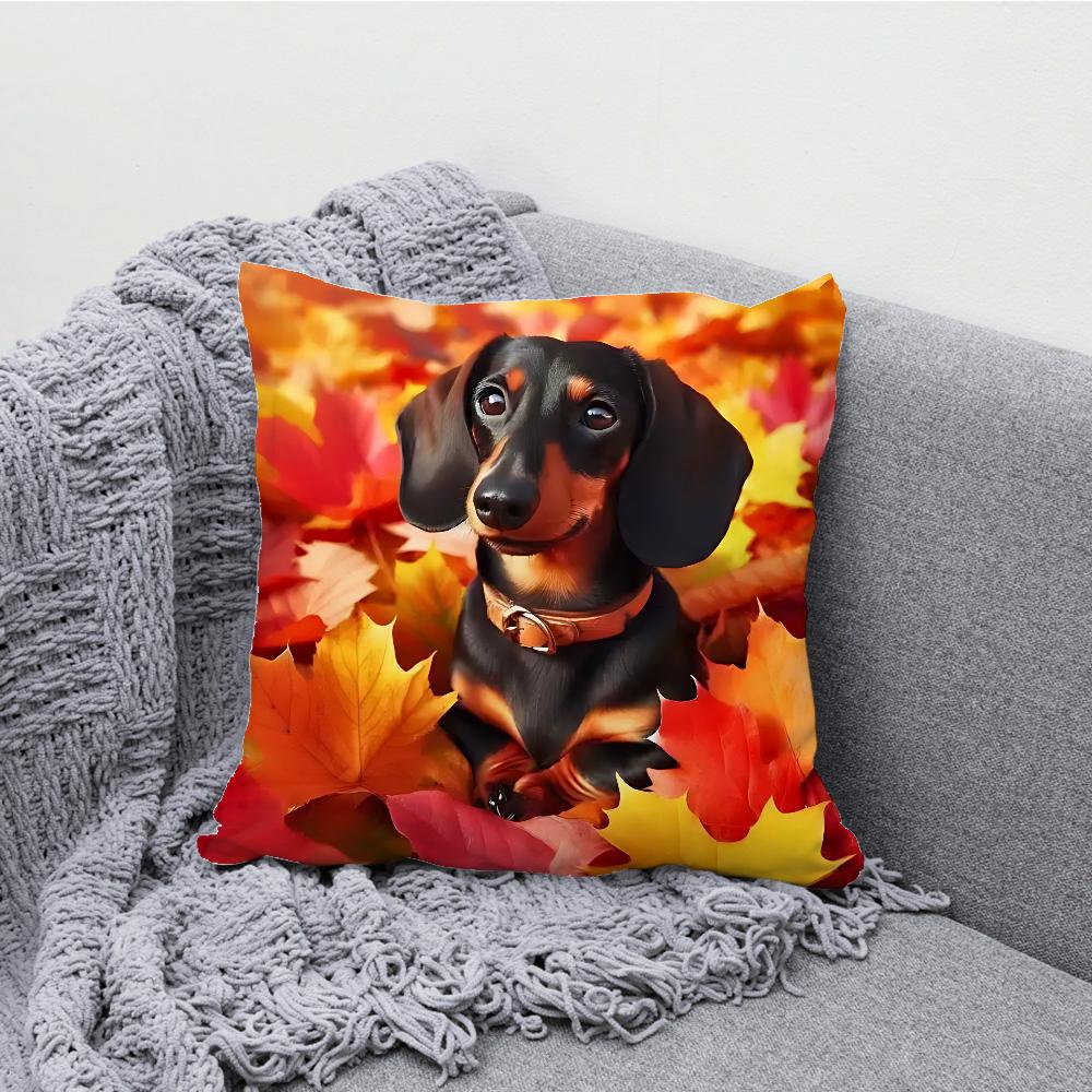 Lovely Dachshund Dog Cartoon Pillow Case Soft Cushion Cases for Farmhouse Sofa Decor Home Decorations and Protector Pillow Case
