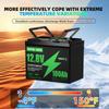 EU USA Stock12V 100AH LiFePO4 Lithium Ion Batteries Germany WAREHOUSE 100A BMS Suitable for Camping, RV,home Solar Energy System