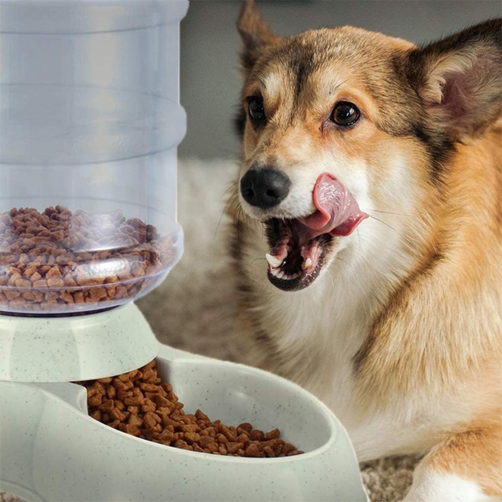 3.8L Automatic Pet Feeder Water Dispenser Dog Cat Auto Feeding Food container Water Bowl Drinking Fountain for Small Middle Dogs