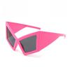 Oversized Cat Eye Women Sunglasses Luxury Brand Designer Big Frame Vintage Eyewear Y2K Punk Sun Glasses UV400