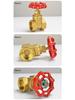 Brass Gate Valve for Water Meters with Thickened Silk Thread and PPR2 Double Hot Melt (4-6 Points)