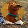 1PC Warner Scooby-doo Sd Automatic Open/Close Umbrella with Windproof, 52-Rib Sturdy Canopy, Durable Ribs1269A