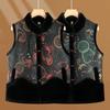 Autumn and Winter Velvet Thickened New Coat Vest Women's Vest Vest Women's