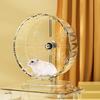 Rueda Silenciosa para Hámster, Rueda de Ejercicio para Hámster Súper Silenciosa, Rueda Silenciosa para Hámster, Rueda de Ejercicio para Hámsters con Soporte Ajustable