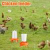 Poultry Automatic Feeding Bucket Chicken Feeder Barrel Water Bucket Geese Quail Drinking Farm Chicken Coop Water Supplies