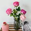 Rose Plants Simulated Wedding Hotel Restaurant Decoration Photography Props