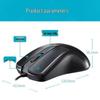 Rapoo N1162 Wired Office Mouse
